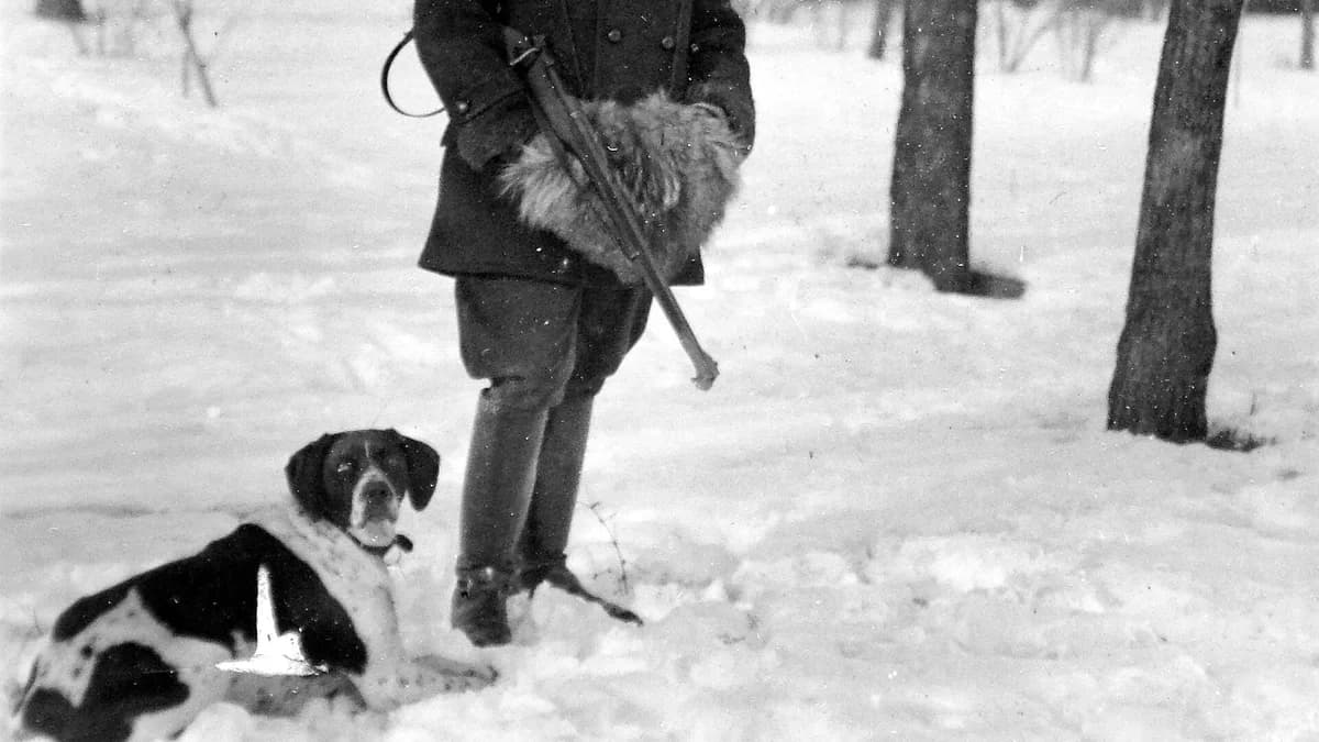 Hungary?? Tags: dog, winter, snow, hunter