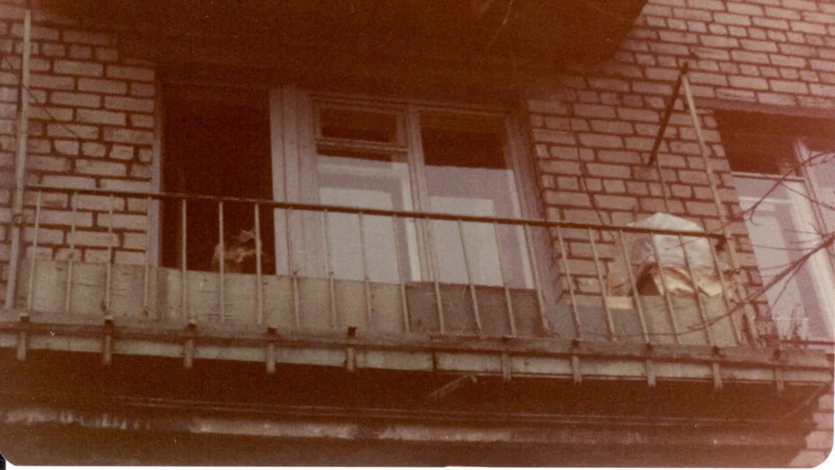 Apartmanda Köpek Bakımı: Komşu Düzeni 5 Adımda — kapak görseli