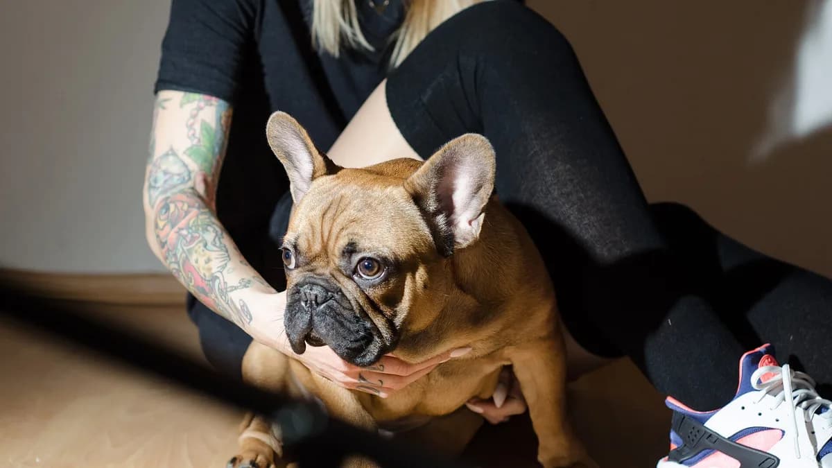 Evde yerde sahibiyle birlikte oturan bir köpek