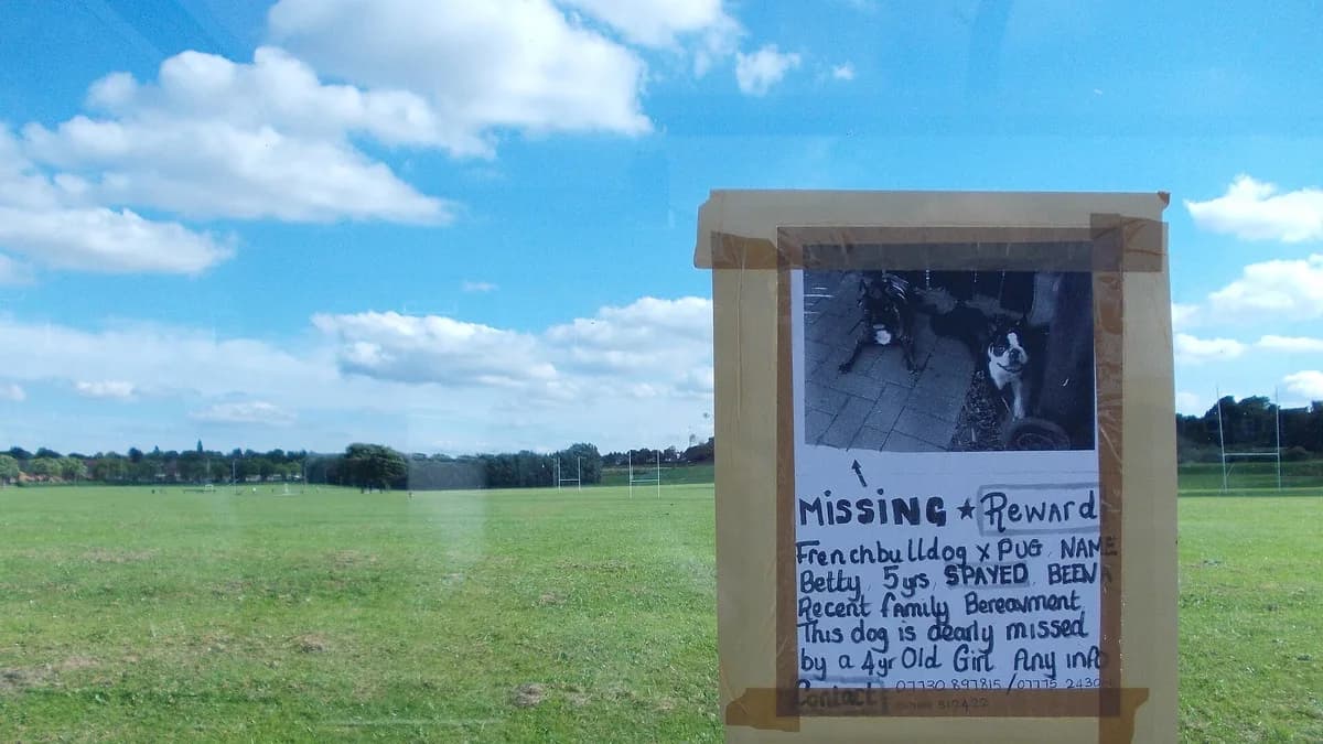 Herringthorpe Playing Field with "lost dog" notice